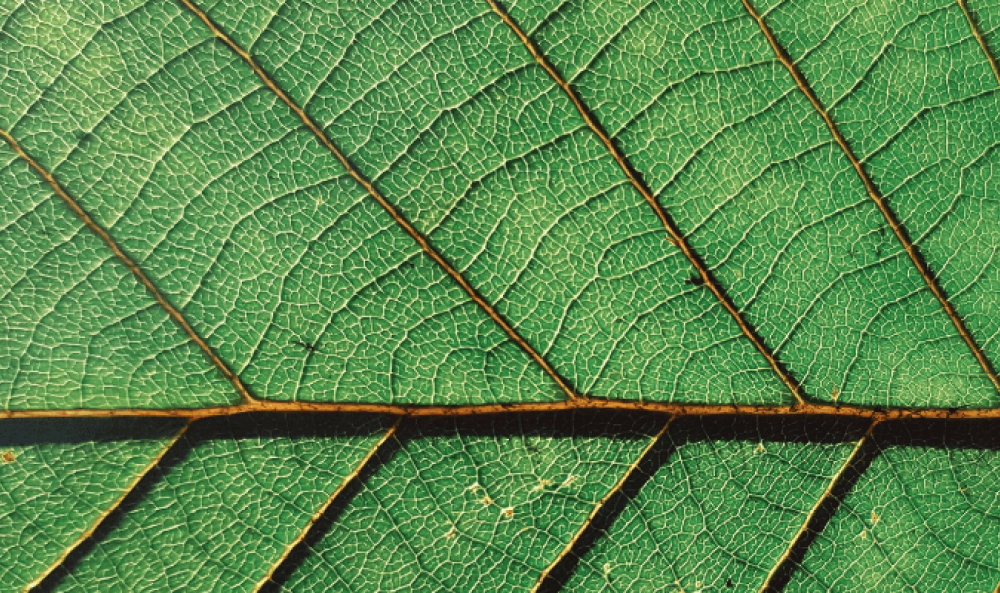 Warum Nachhaltigkeit?