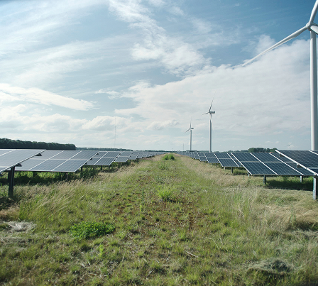 Eine Wiese mit Solarzellen
