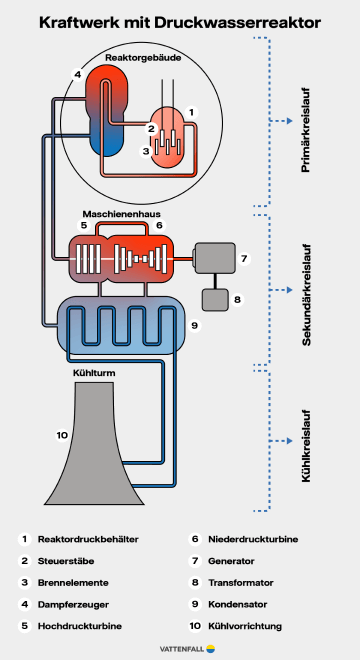 Infografik: Eine Illustration zeigt ein Kraftwerk mit Druckwasserreaktor. Bestandteile im Primär- Sekundär- und Kühlkreislauf werden benannt.