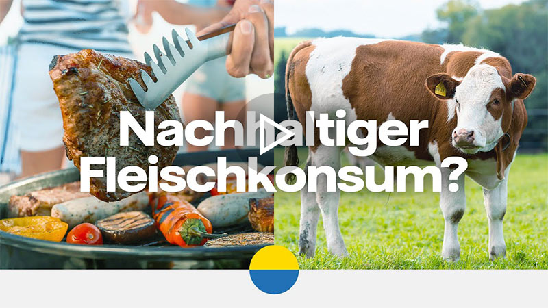 YouTube Thumbnail: Nachhaltiger Fleischkonsum