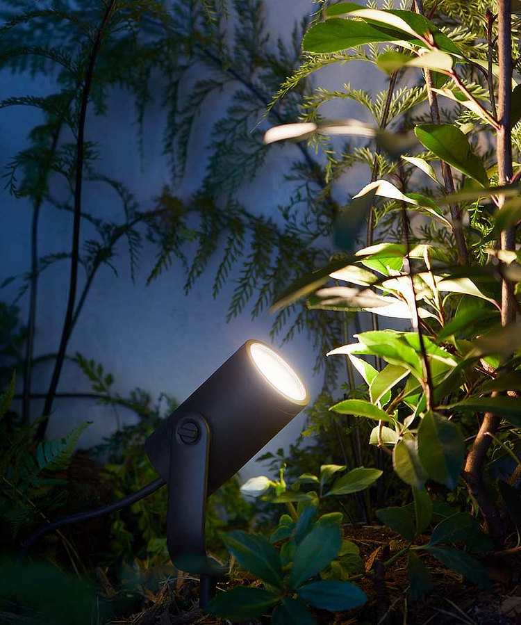 LED-Spot beleuchtet Pflanzen