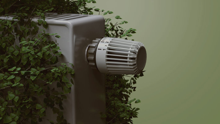 Heizkörper umringt von Pflanze