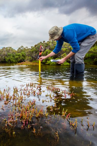 Mann prüft Wasserstand im See