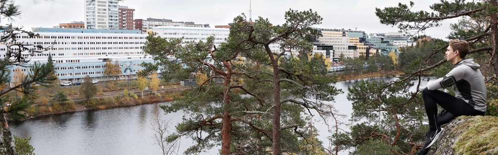 Eine Person schaut durch Bäume im Vordergrund auf einen Fluss und mehrere industrielle Häuser dicht nebeneinander im Hintergrund.