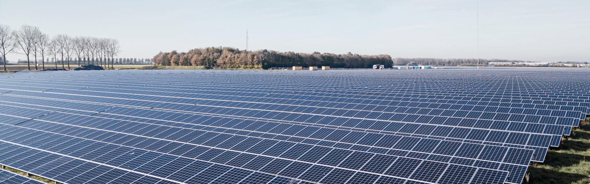 Solarpark auf grüner Landfläche.