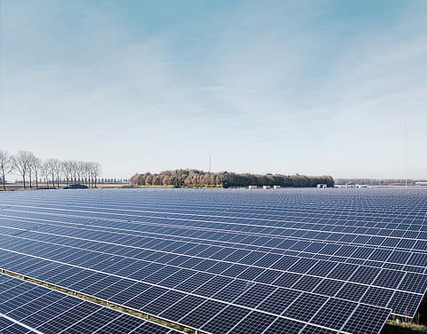 Solarpark auf grüner Landfläche.