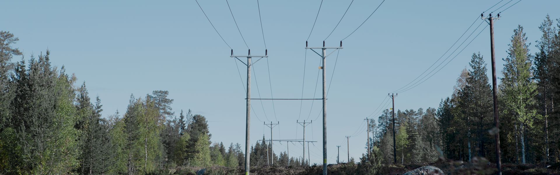 Freileitungsmast zwischen viele Bäume