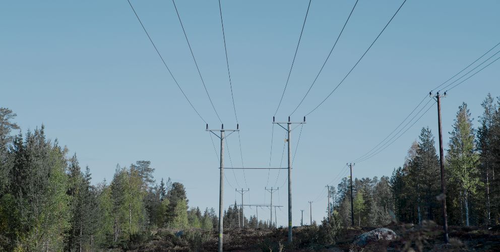 Freileitungsmast zwischen viele Bäume