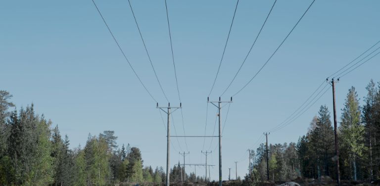 Freileitungsmast zwischen viele Bäume