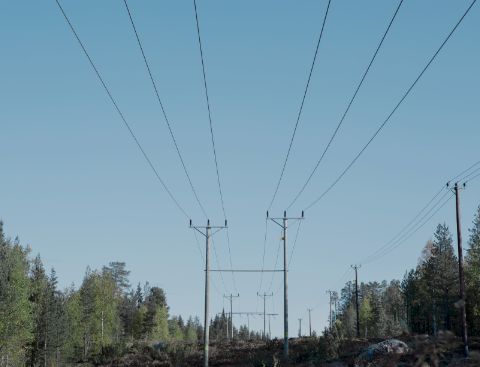 Freileitungsmast zwischen viele Bäume